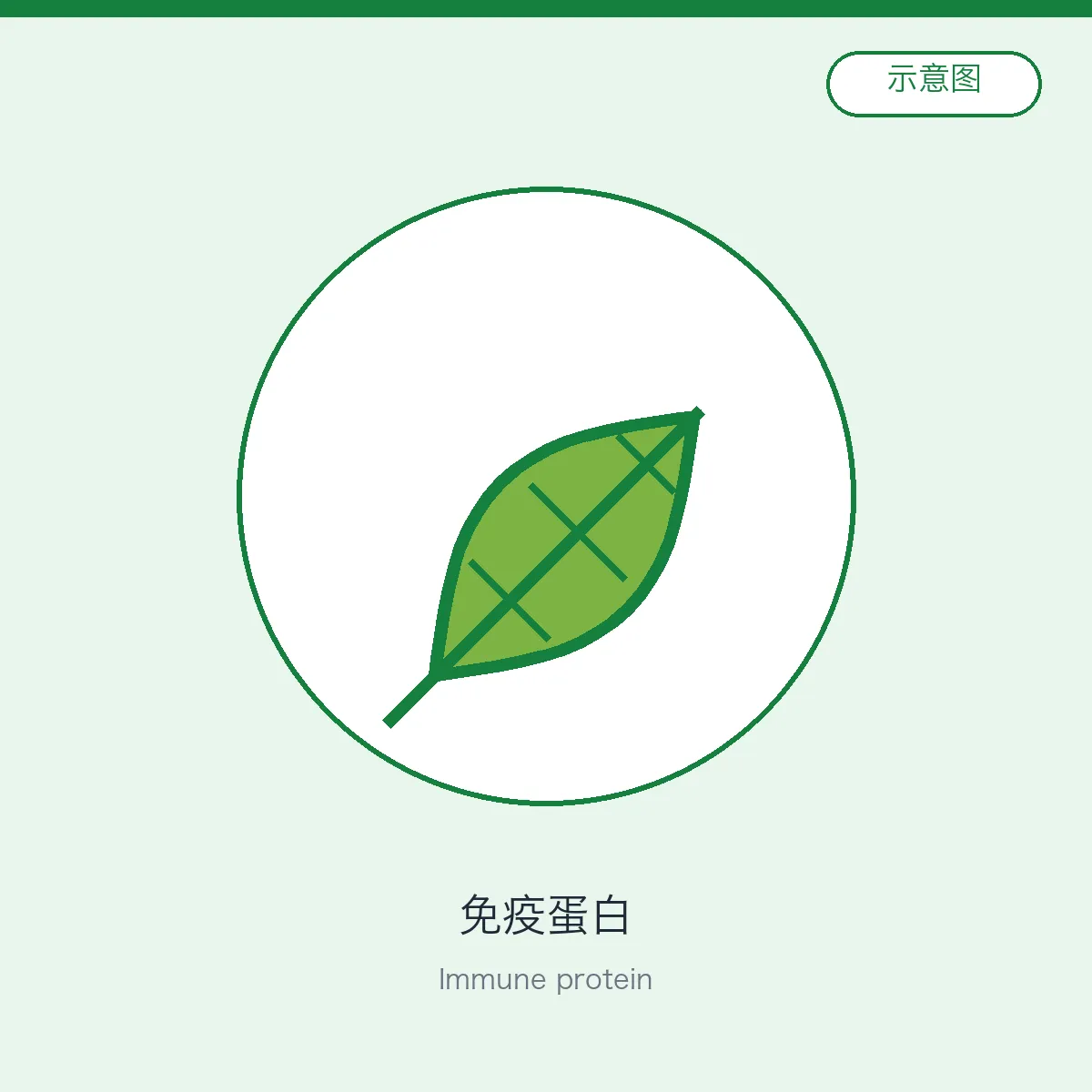 Immune protein